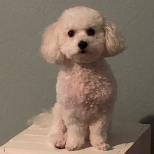 Meet your Posher, Crystal